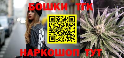 сатива Можга