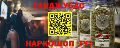 сатива Можга