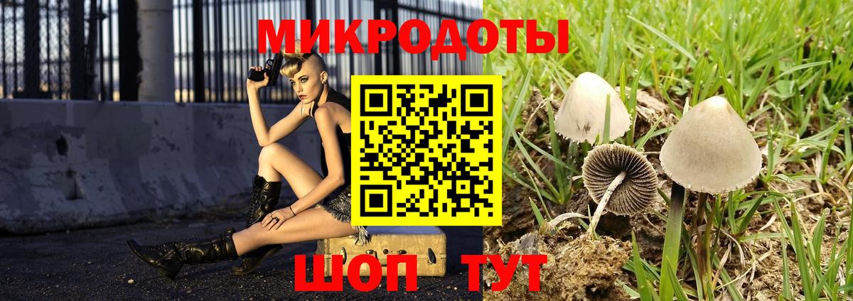 Галлюциногенные грибы GOLDEN TEACHER  Псилоцибиновые грибы GOLDEN TEACHER  Вход с VPN  Среднеуральск 