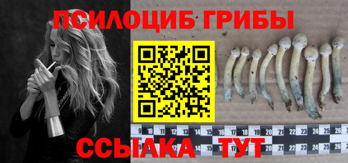 Псилоцибиновые грибы MAGIC MUSHROOMS Среднеуральск